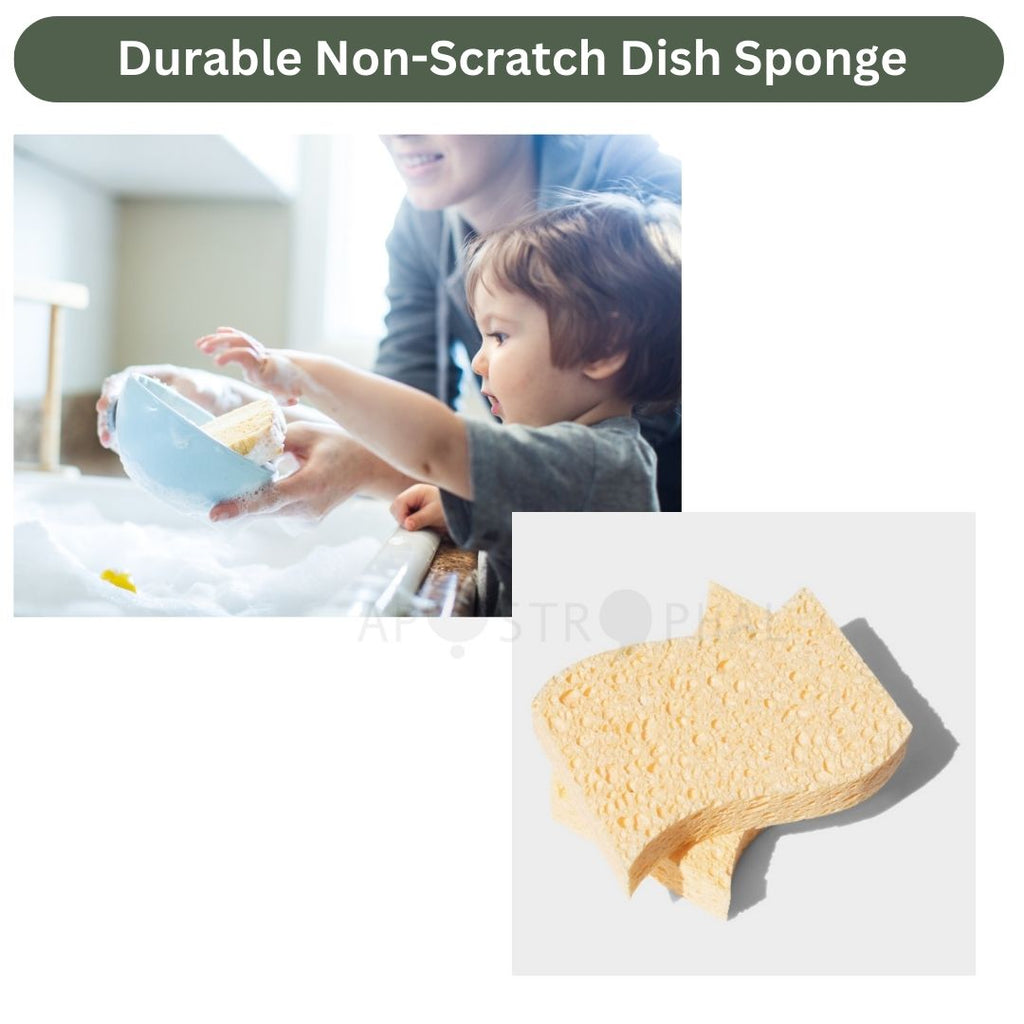 Biodegradable Kitchen Sponges Pack of 2 Compostable Wood Pulp Plastic Free