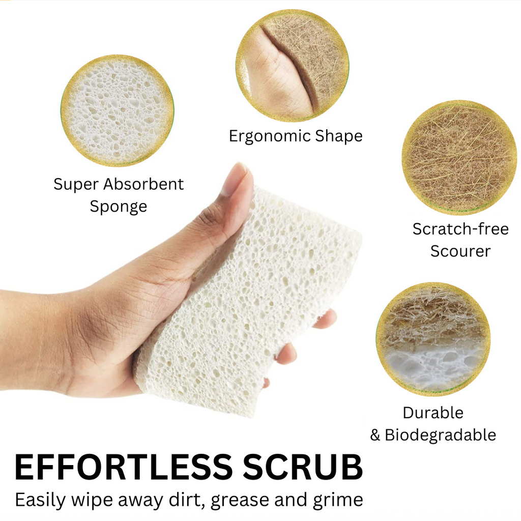 Cleaning Sponge Kitchen Bathroom Compostable Plant Based Duo Pack Plastic Free