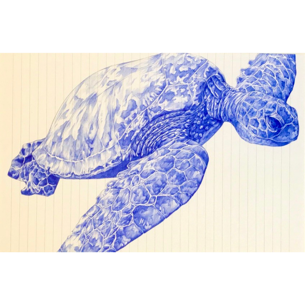The Sea Turtle by Jessica HOOLEY Drawing on Pre-loved Notebook Wall Decor
