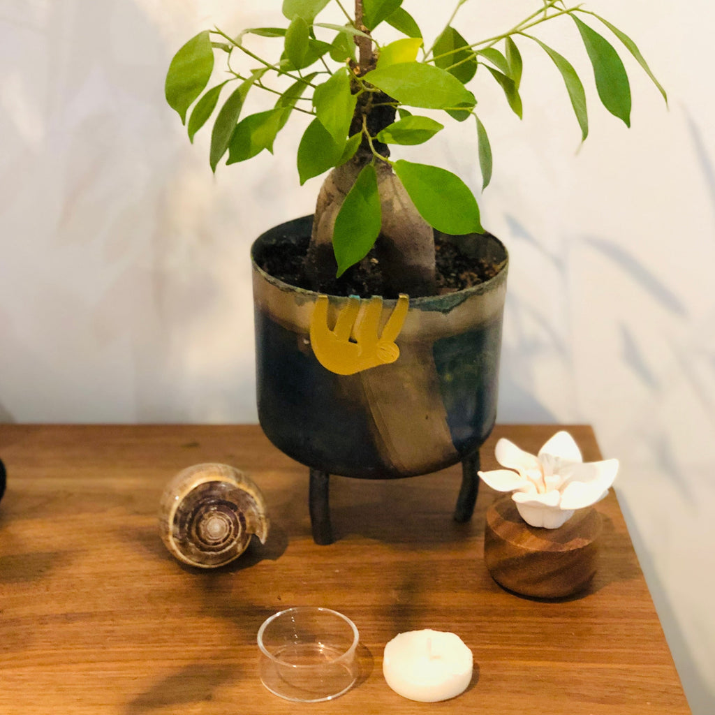 Tea Light Glass Cup for Zero Waste Tea Light Refills