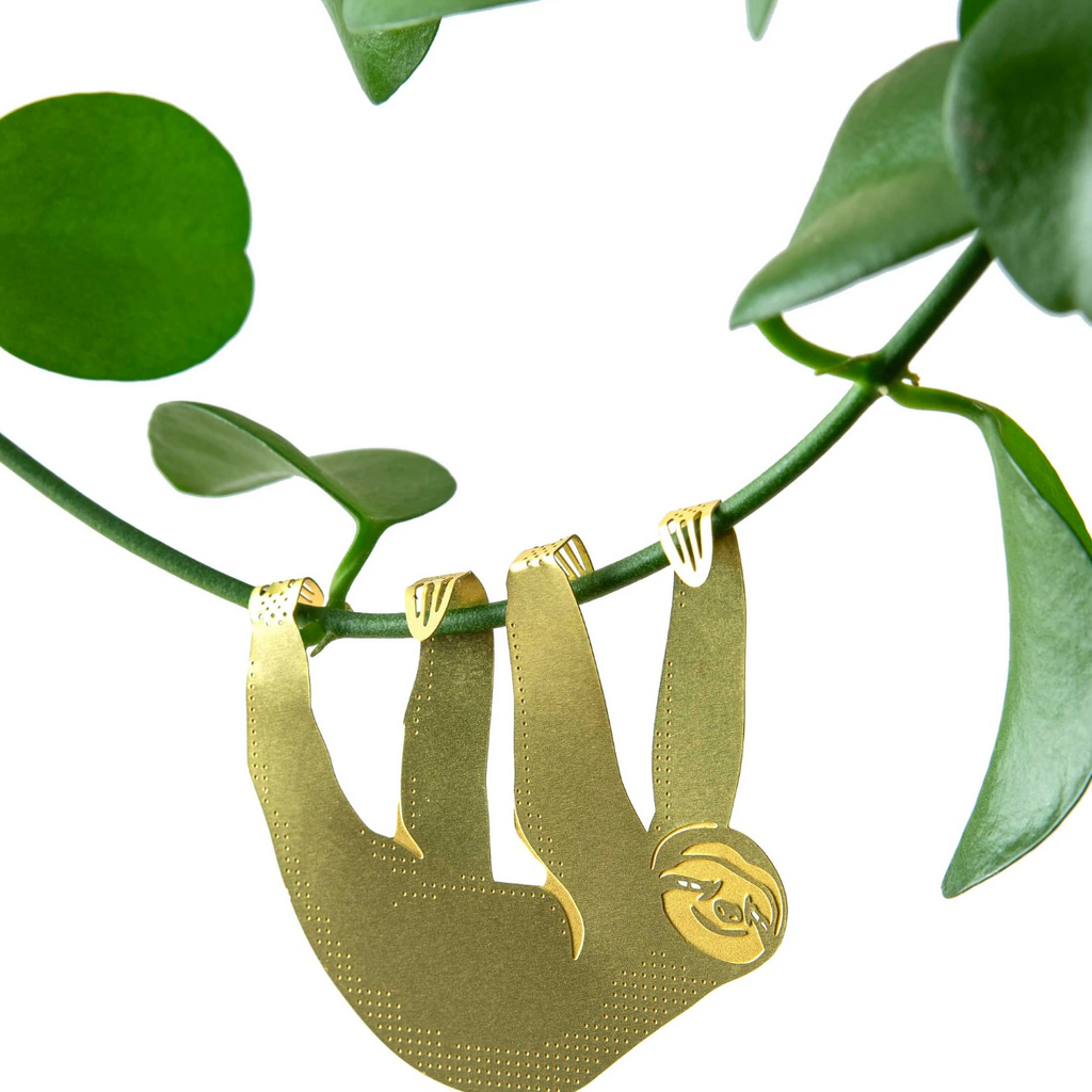 Plant Bouquet Animal Decoration Gold Hanging Sloth Slow Life UK Designers