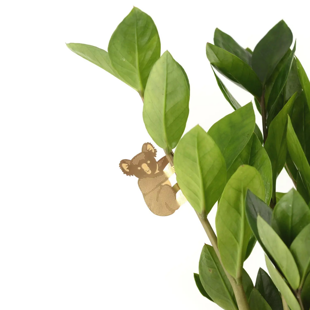 Plant Bouquet Animal Decoration Gold Hanging Koala UK Designers