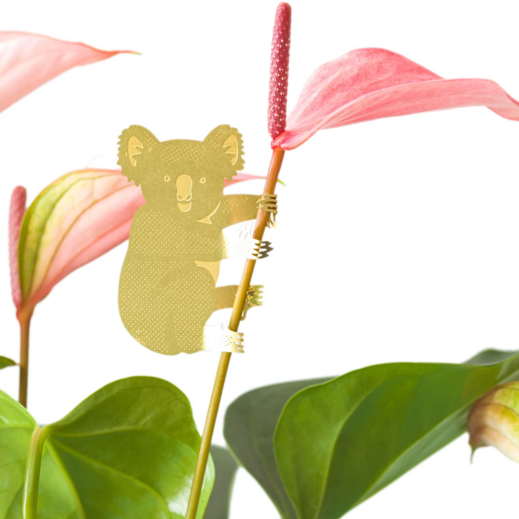 Plant Bouquet Animal Decoration Gold Hanging Koala UK Designers