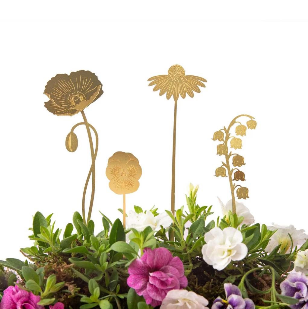 Plant Decoration Botanical Flowers Brass Blooms Garden Pot UK Design