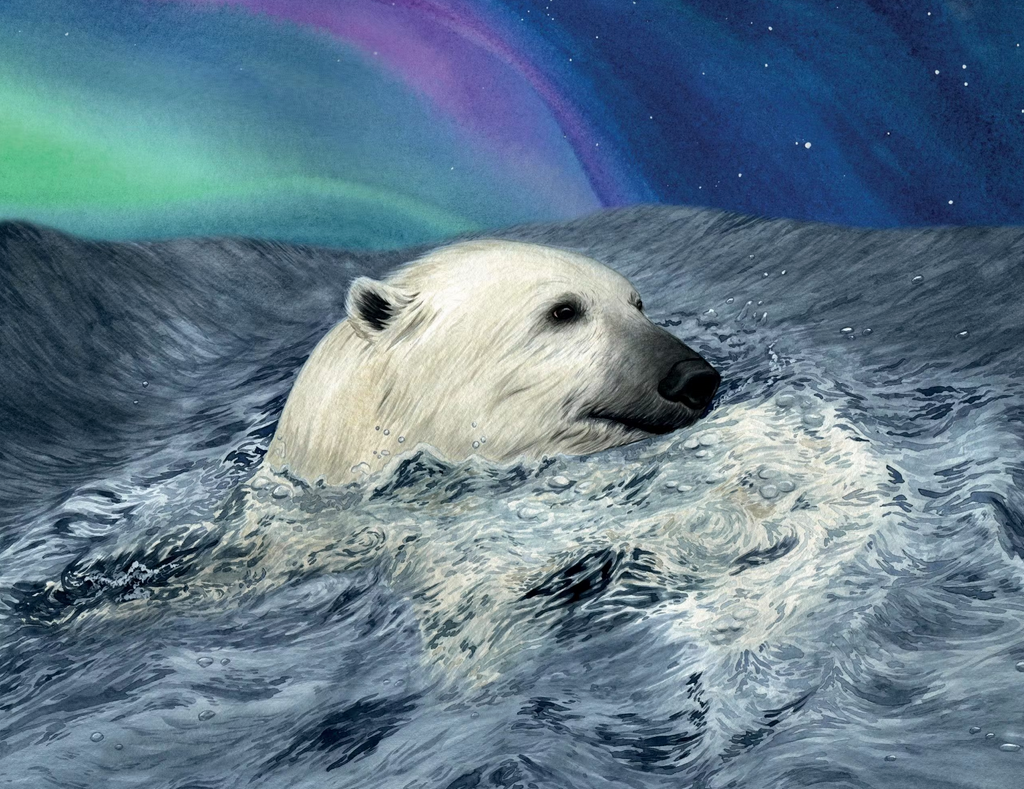 Children Book & Recycled Plush White Bear Gift Set UK Award-winning Author Hunter’s Icy Adventure