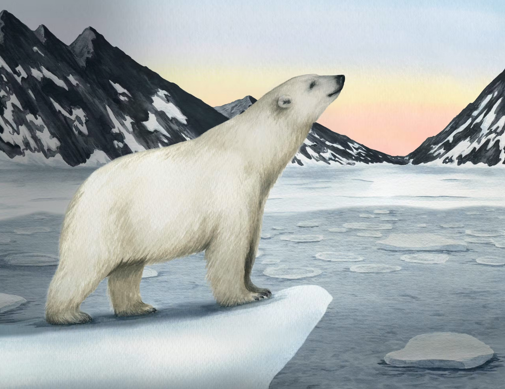 Children Book & Recycled Plush White Bear Gift Set UK Award-winning Author Hunter’s Icy Adventure
