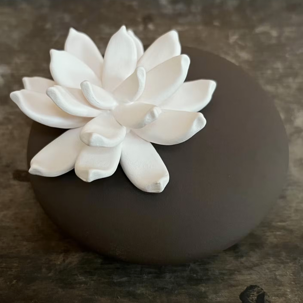 Oil Diffuser Gift Set Ceramic Lotus Pebble & Fragrance Bottle Aromatherapy Lili Coffee