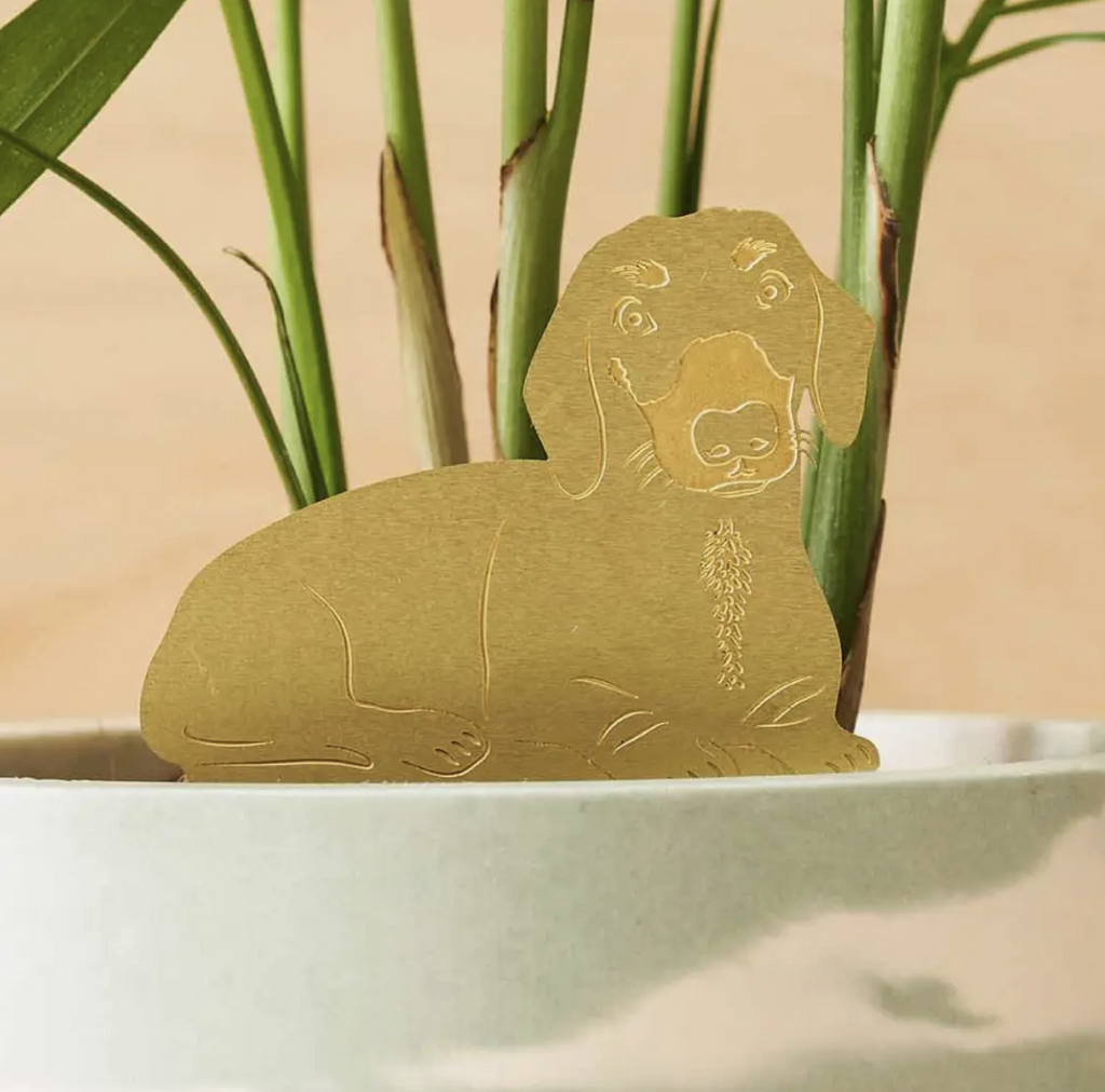 Cute Terrarium Plant Pot Animal Decoration Gold Dachshund Dog Pet Edition UK Designers