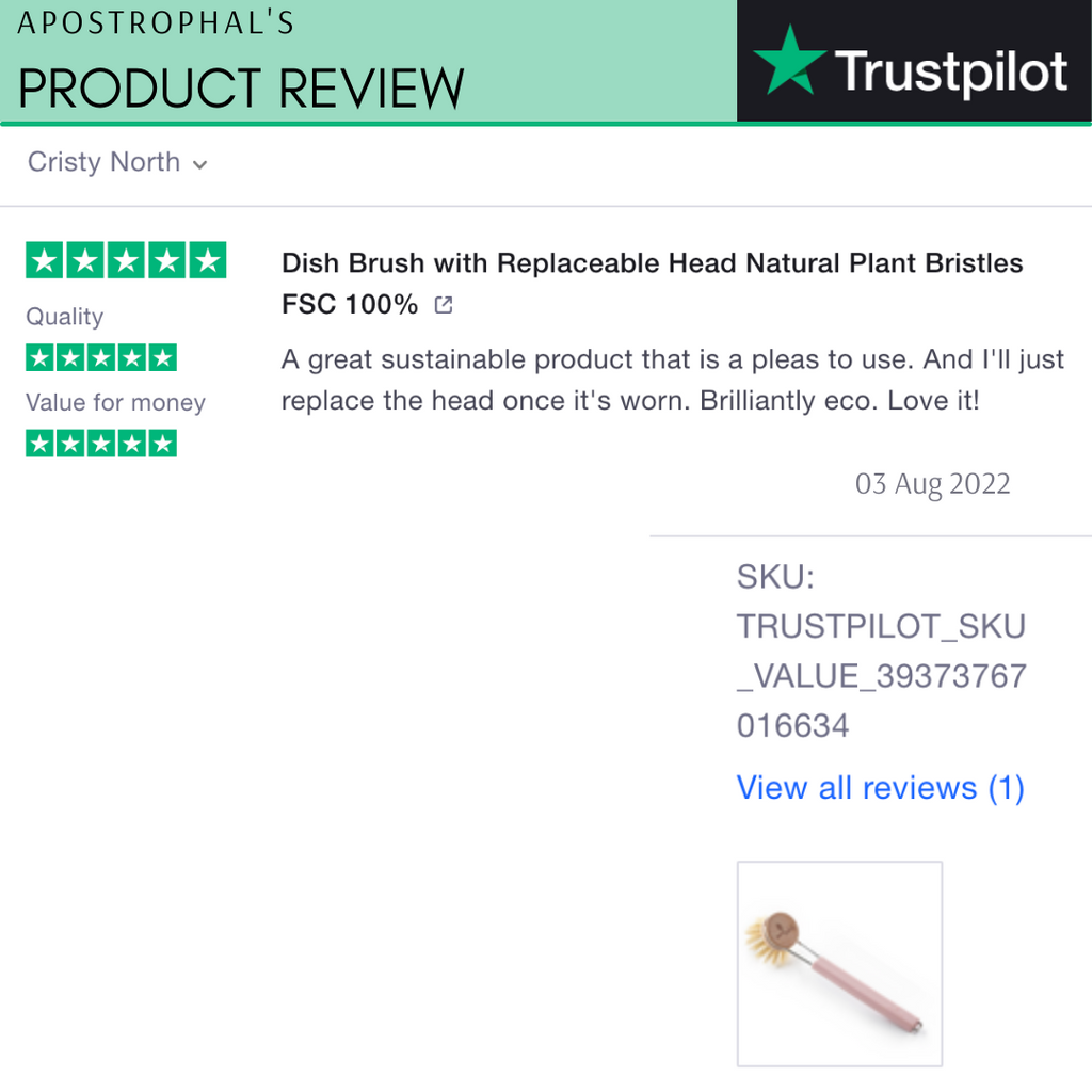 Dish Brush Replacement Refill Head Sustainable Wood FSC® 100%